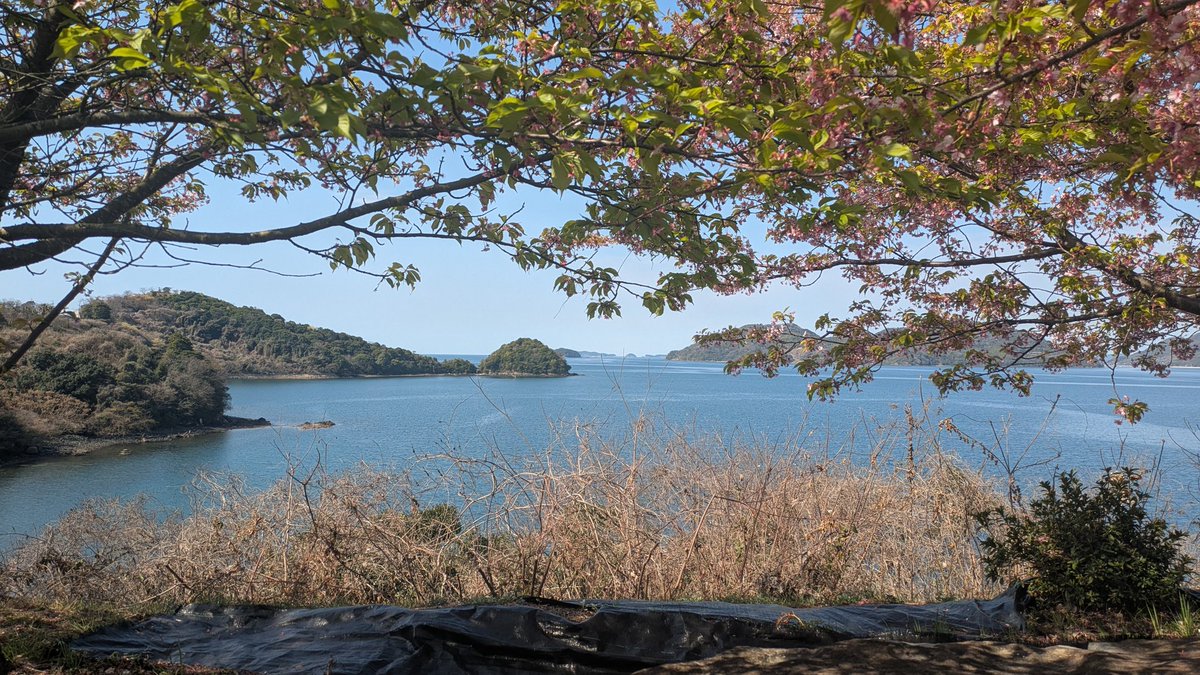 よりこ💕 tweet media