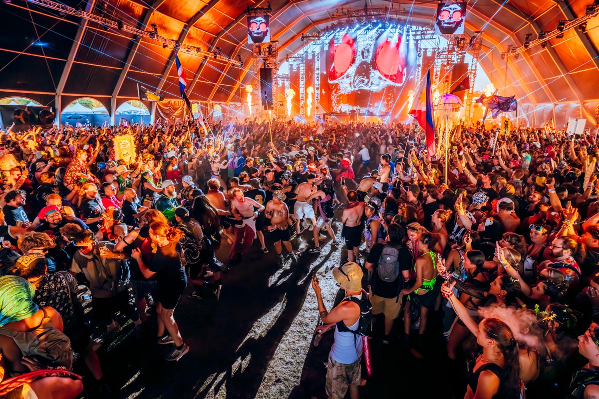 Forbidden Kingdom Fest 🏰🛡⚔️ tweet media