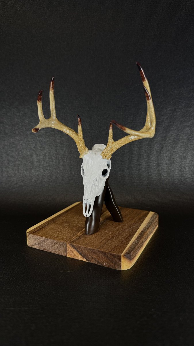 Gregory Cook tweet media