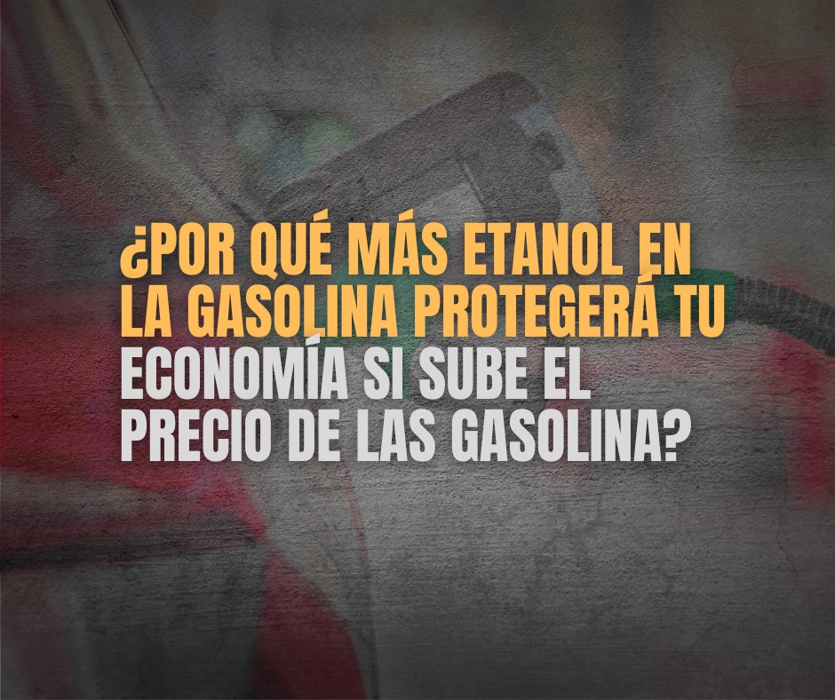 Más #etanol en la gasolina es la opción inmediata para amortiguar el alza del precio de la gasolina, consecuencia del incremento del precio del petróleo. Conoce sobre sus beneficios económicos en este reciente análisis bit.ly/4rQOR4y