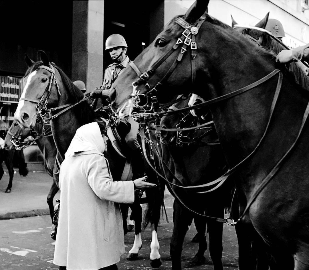 mariiadp tweet media