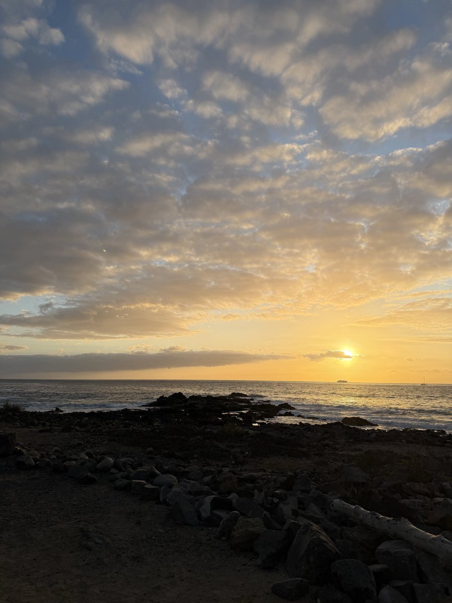strides_wo97106's tweet photo. One of the best parts about Seville is the ability to solo travel. The other weekend the 3 of us were able to take a 30€, 2 hour flight to Tenerife. #Tenerife #WorldStrides #Travel #Seville https://t.co/NDv1ql1h5O