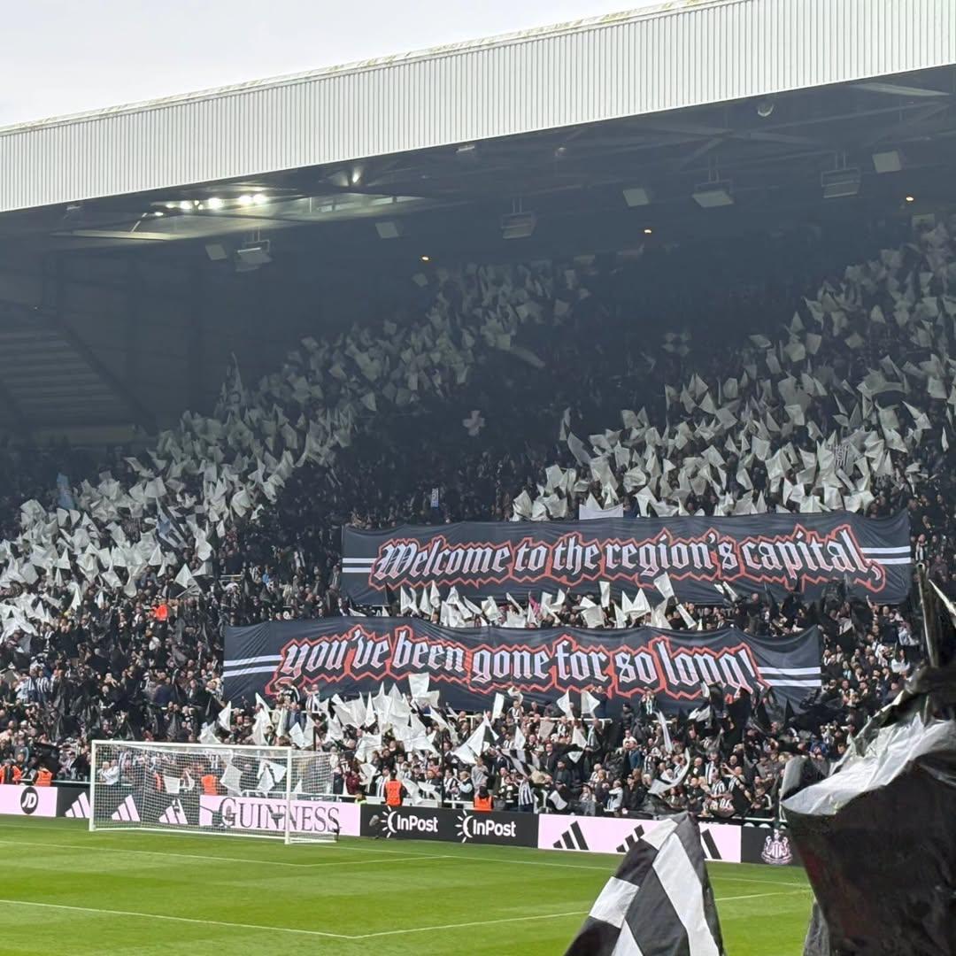 Magpie 24/7 tweet media