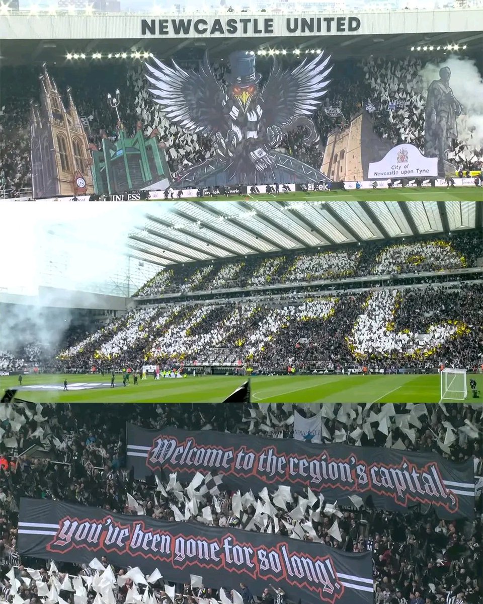 Magpie 24/7 tweet media