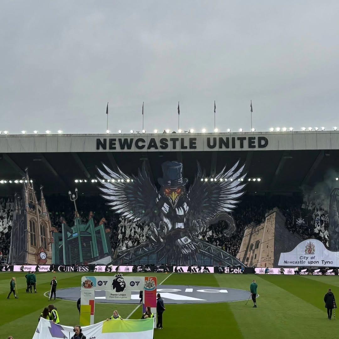 Magpie 24/7 tweet media