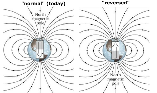 @WallStreetApes The govt is preparing for the geomagnetic polarity flip ...