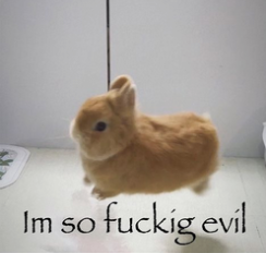 i drink soup tweet media