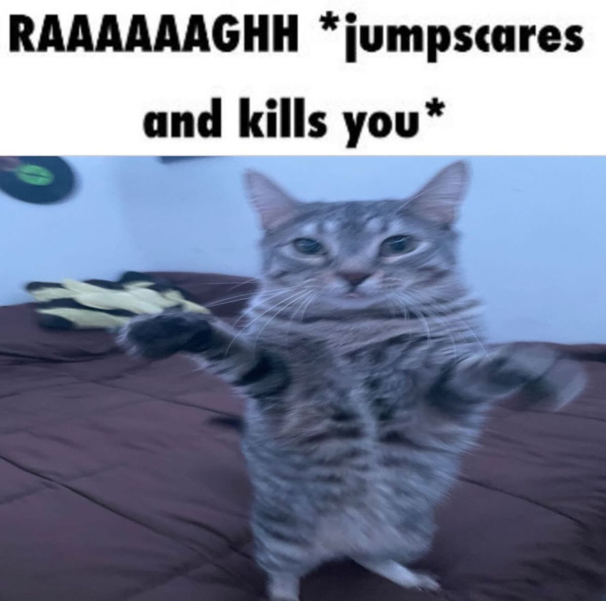 i drink soup tweet media