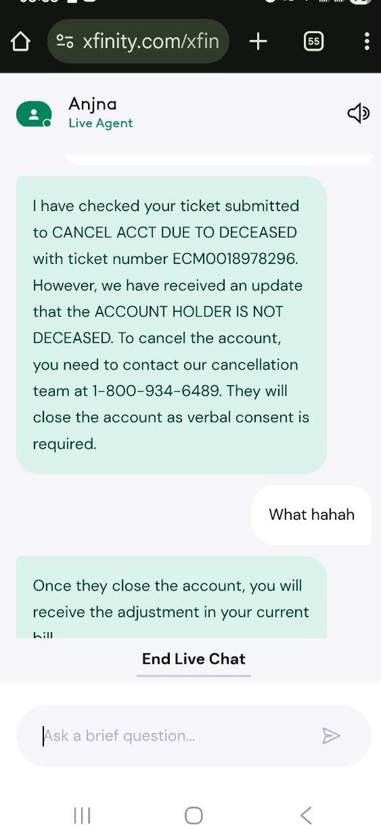 Emil Bogomolov tweet media