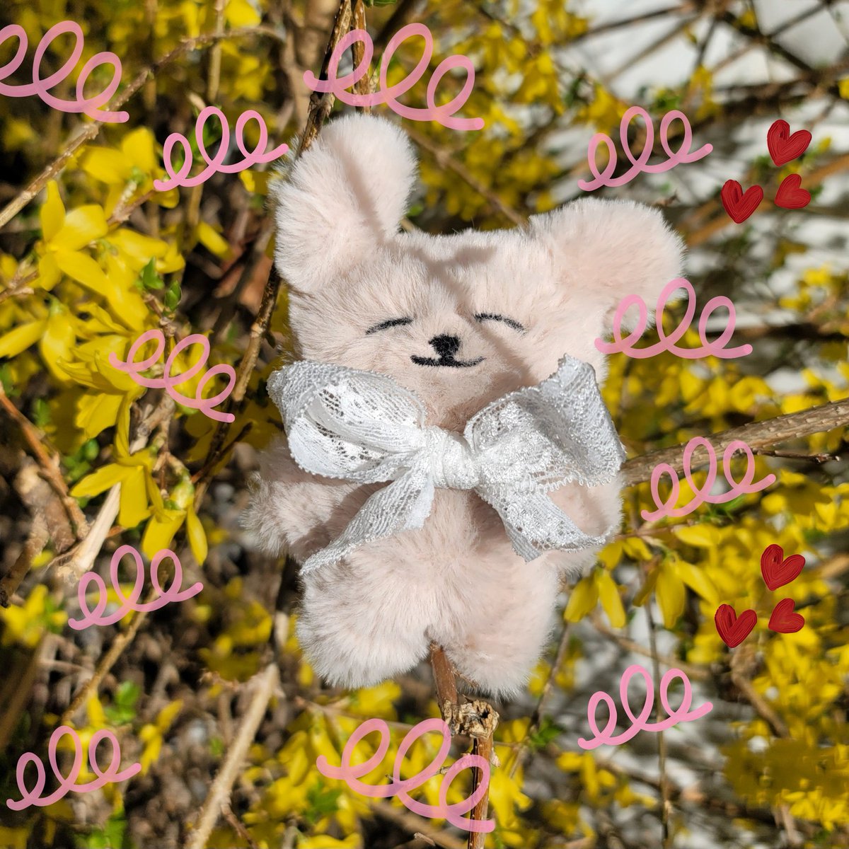 개나리 같은 화요일 출근길