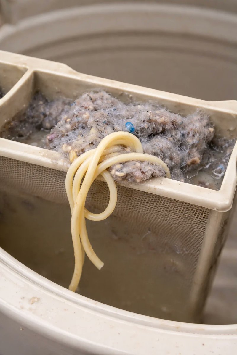 alex jones labubu agent tweet media