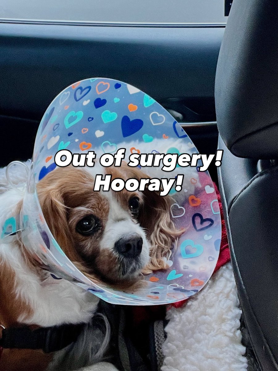 Kathryn Brandt tweet media