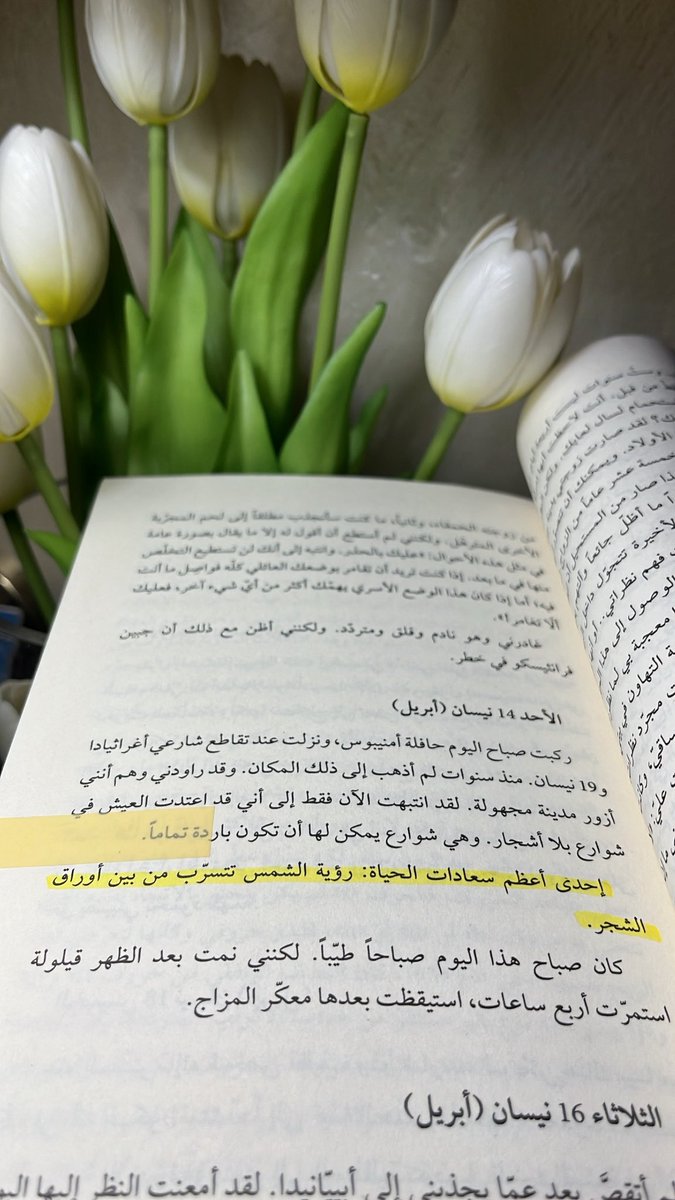 ツ』☆أدهمہ 🌎 tweet media