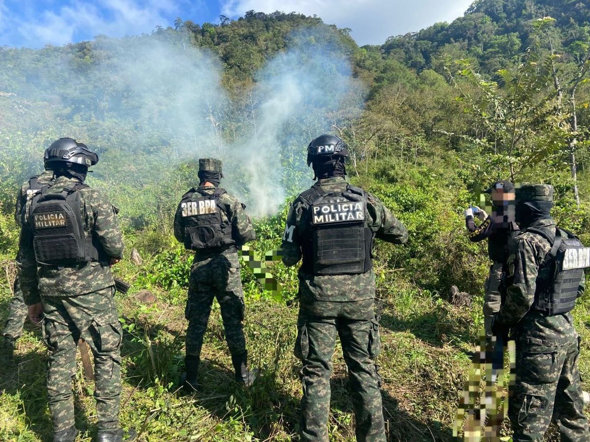 Secretaría de Estado de Defensa Nacional tweet media