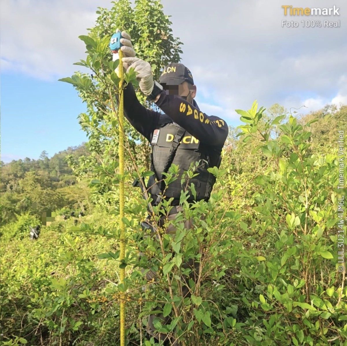 Secretaría de Estado de Defensa Nacional tweet media