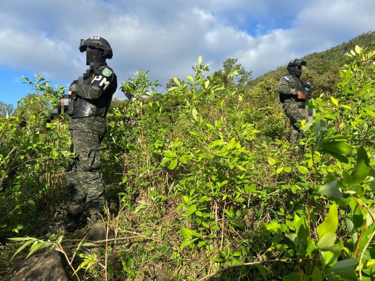 Secretaría de Estado de Defensa Nacional tweet media