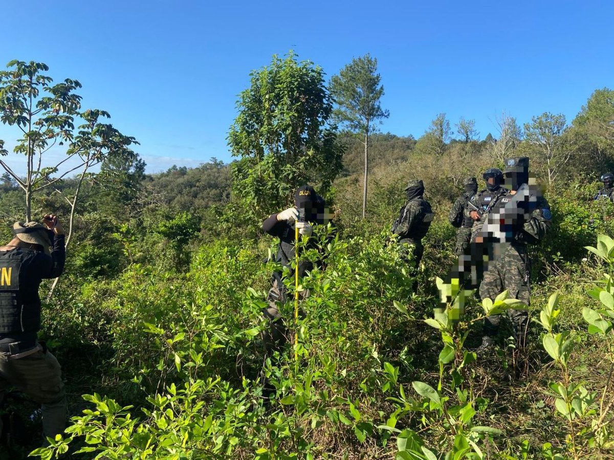 Secretaría de Estado de Defensa Nacional tweet media