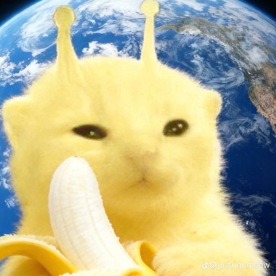 nora wanna taxi taxi taxi ☾•*🪽 tweet media