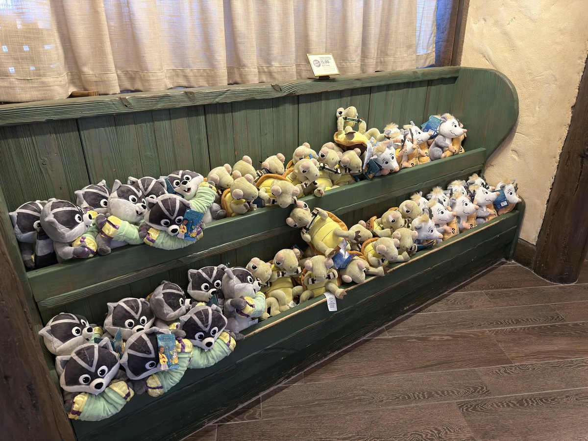 Theme Park Cheetah tweet media