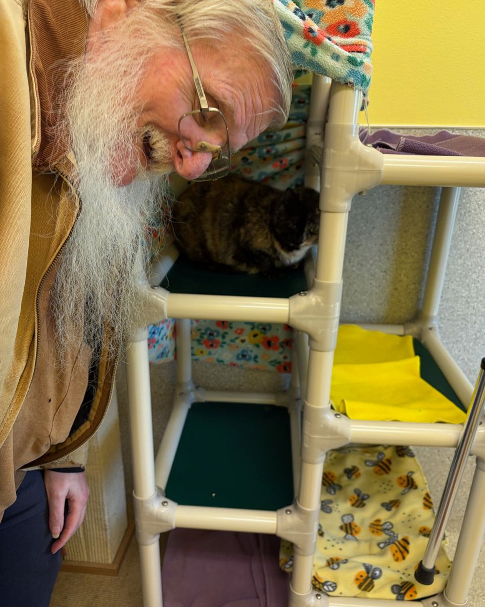 Greenhill Humane tweet media