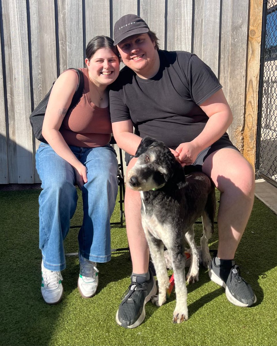 Greenhill Humane tweet media