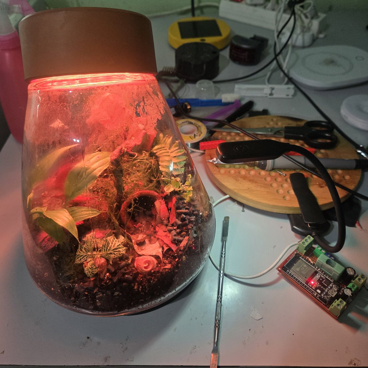 𝒵𝒶𝒸𝓀 tweet media