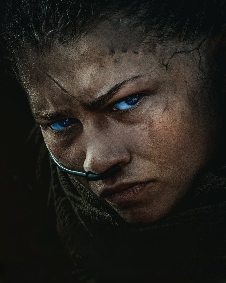 Duna Arrakis Brasil tweet media