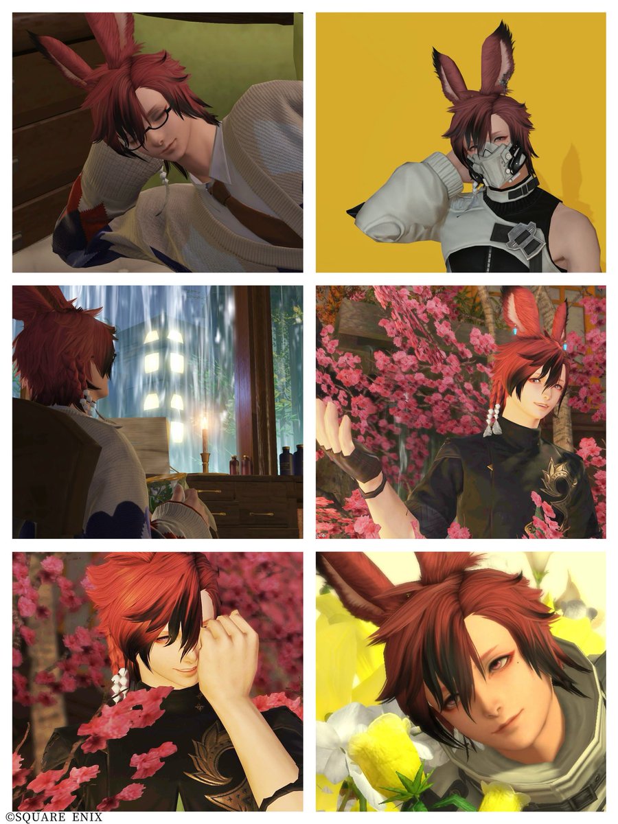 🍫夢白ニロ🐰 tweet media