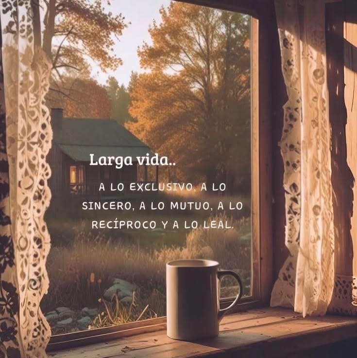 Daniel_Santoy ° tweet media