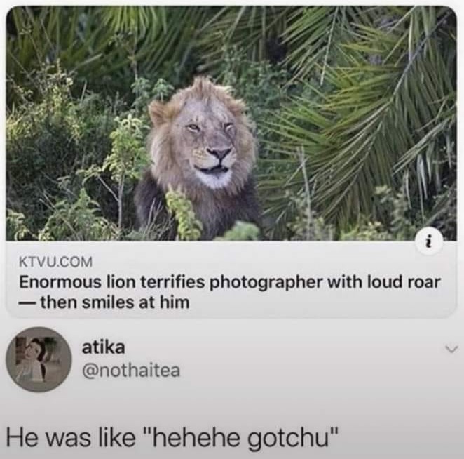 Spill The Memes tweet media