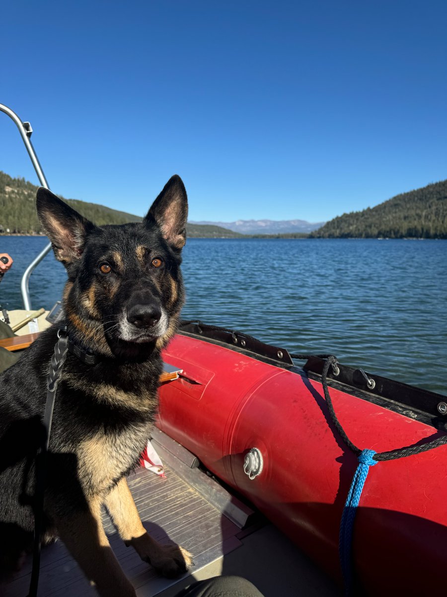 Nevada County Sheriff's Office tweet media