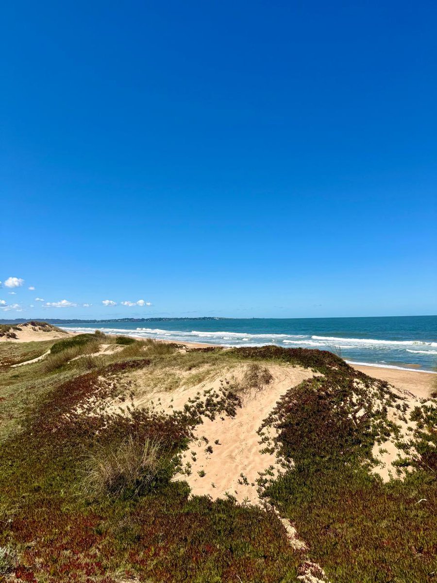 Ocean Park-Maldonado-Uruguay
Gran destino!