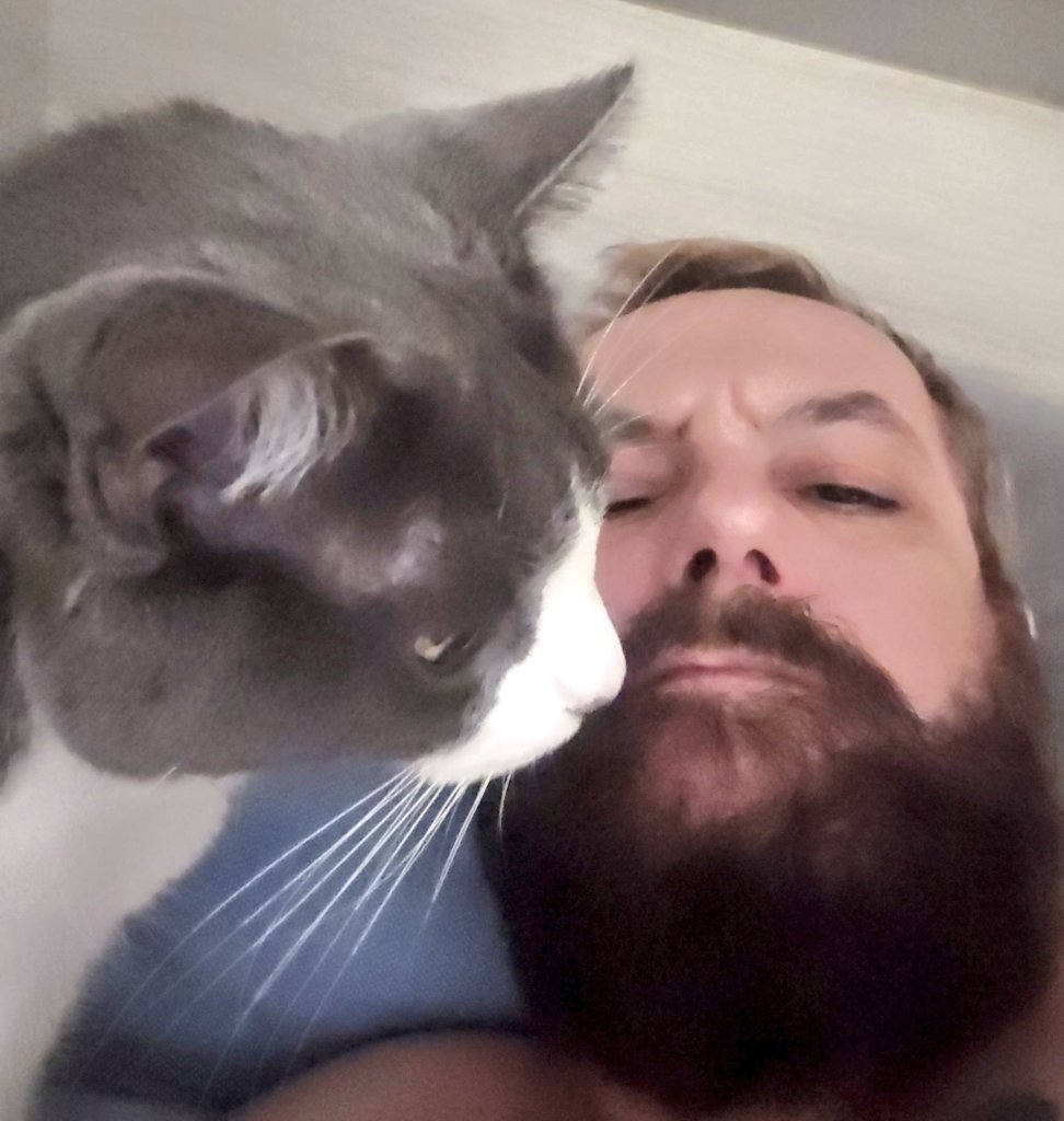 Sandro Zero (セロ) 🏳️‍🌈😺 tweet media