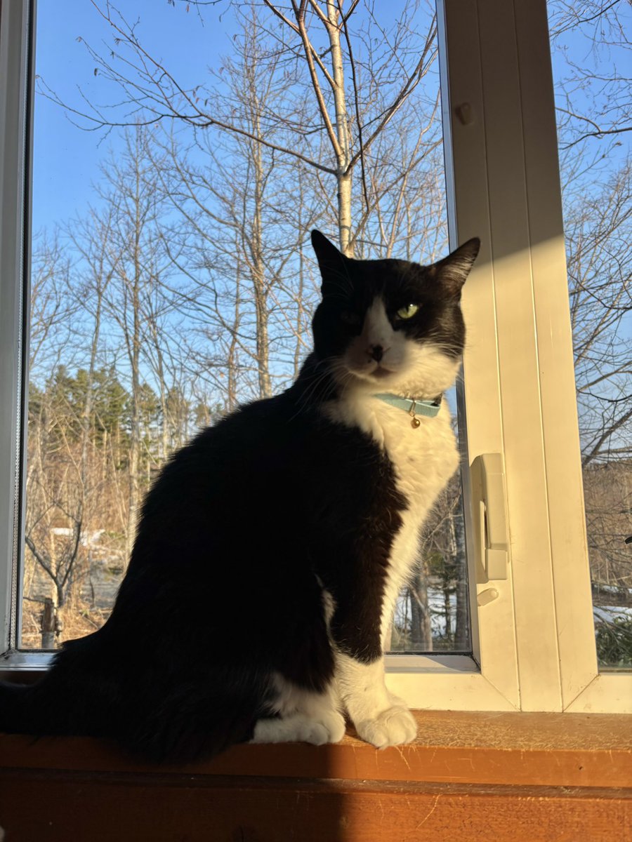 長谷川拡介 tweet media