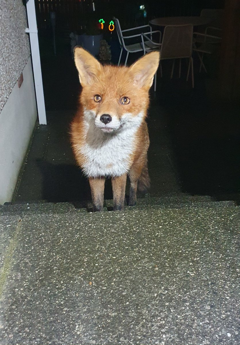 Siobhean 🖤 tweet media