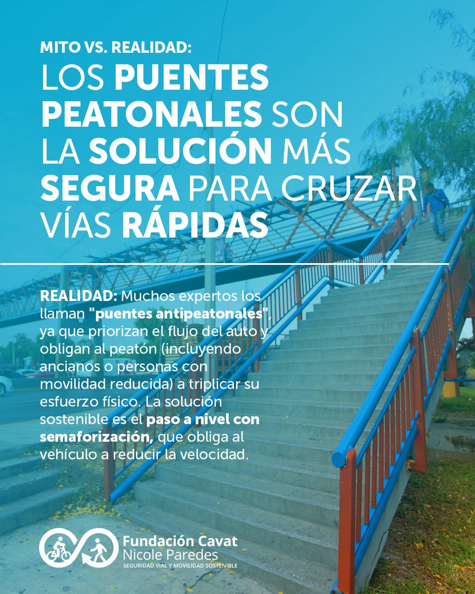 Fundacion Cavat tweet media