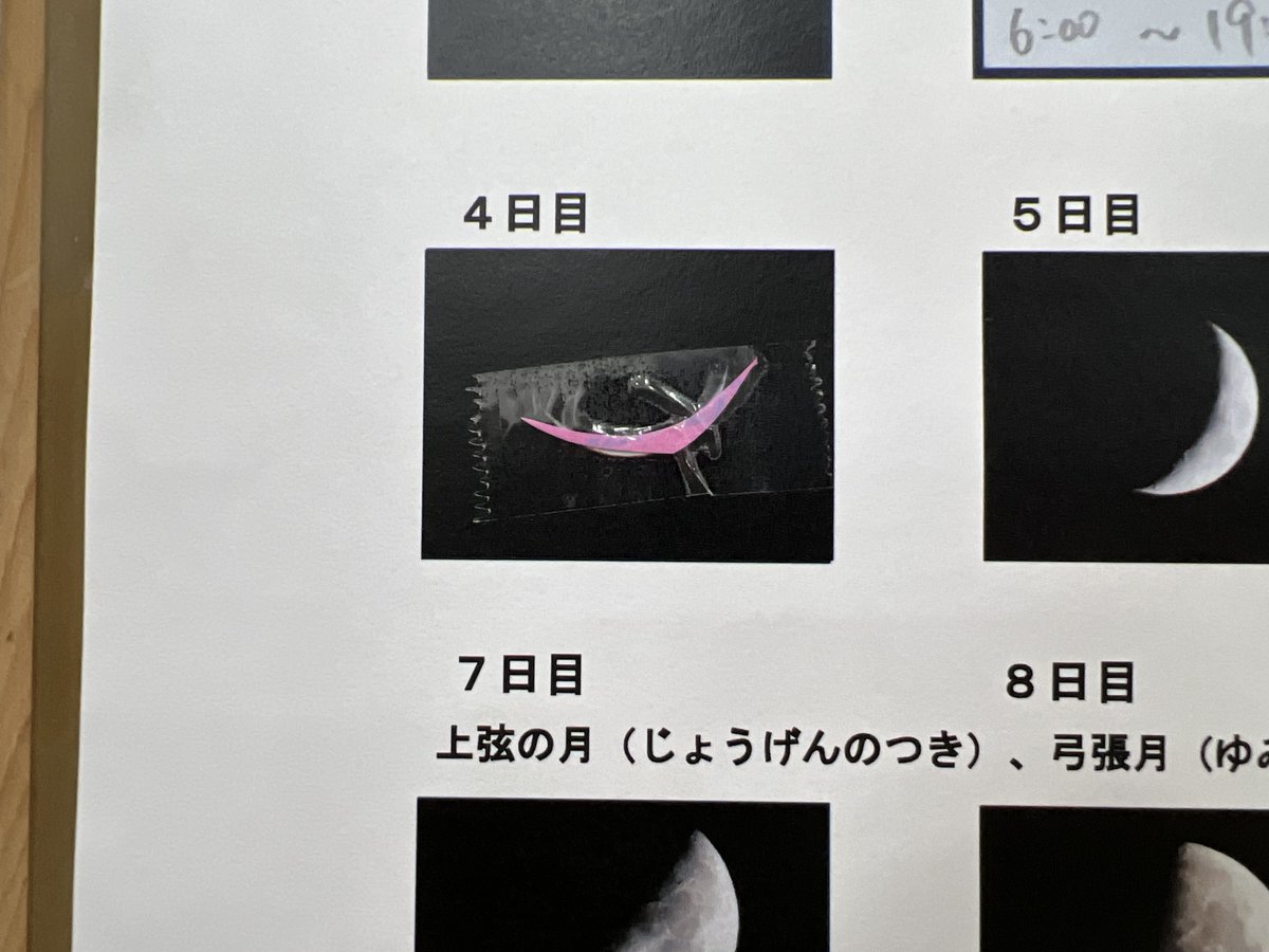 石川 / Hoiku Studio tweet media