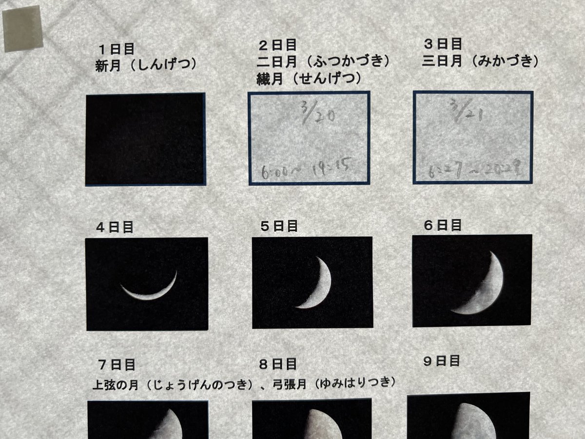 石川 / Hoiku Studio tweet media