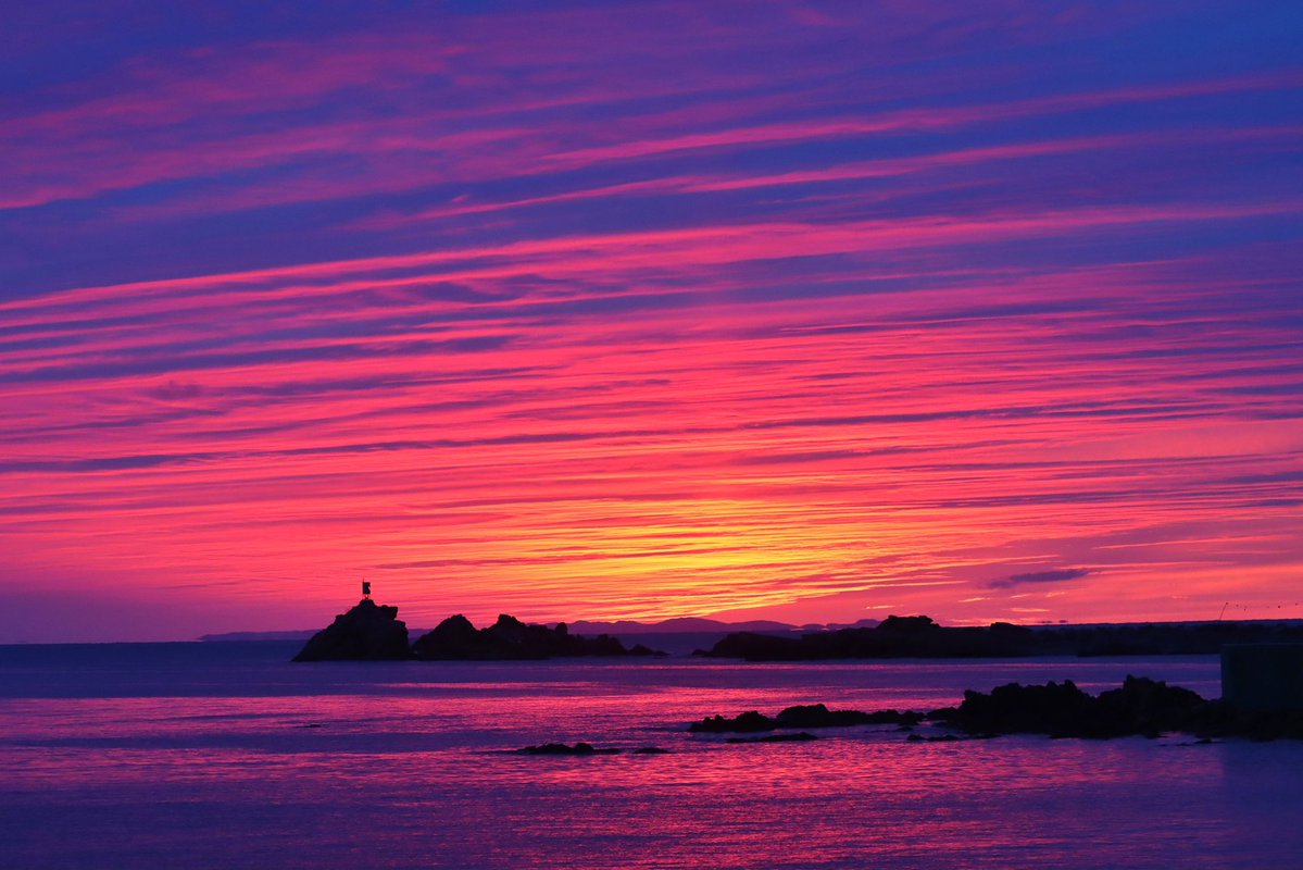 🇨🇦 tweet media