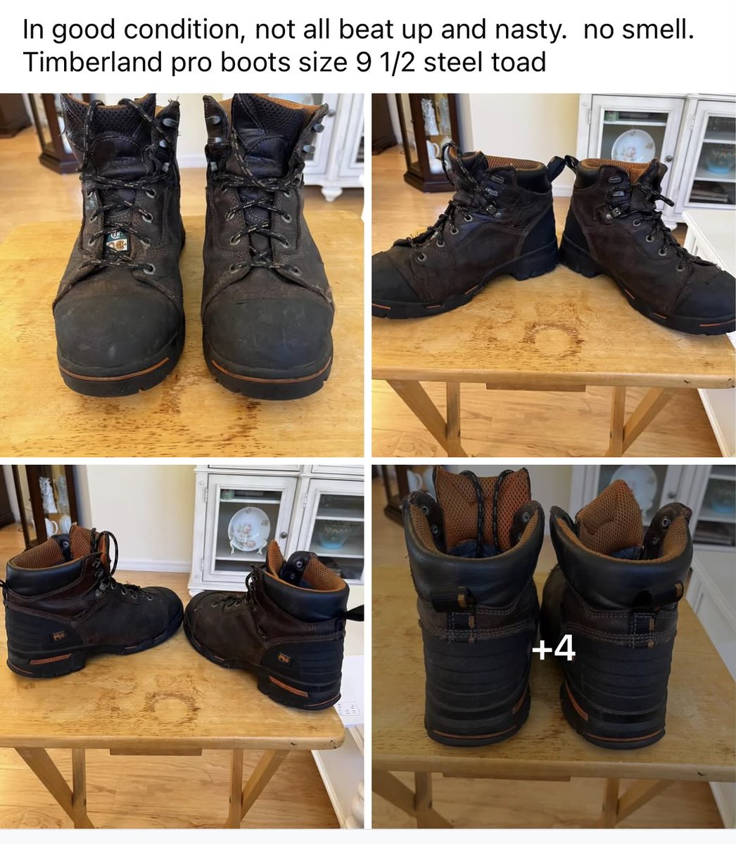 Johnny Moline 🐊 🌴🦩🦎 tweet media