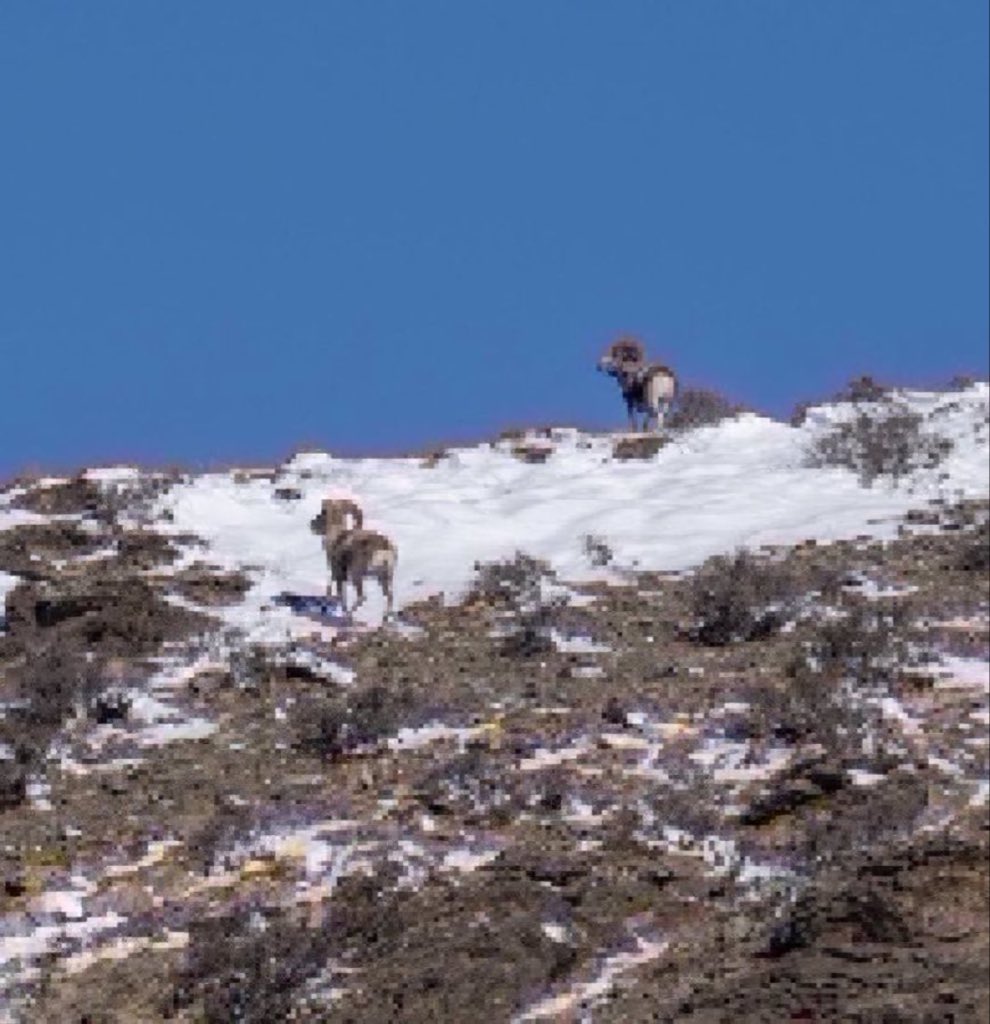 Иншүрко даатгал tweet media