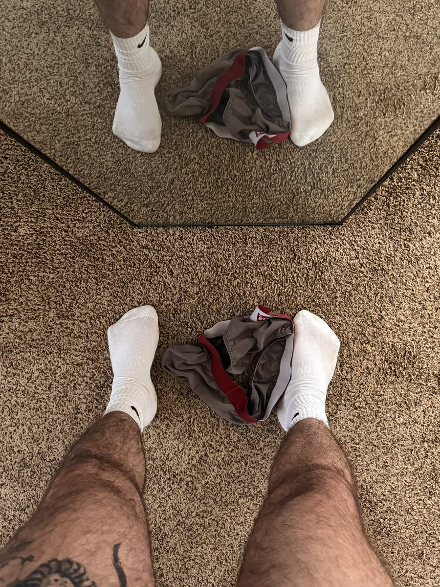 Polar Bear 🐻❄️ tweet media