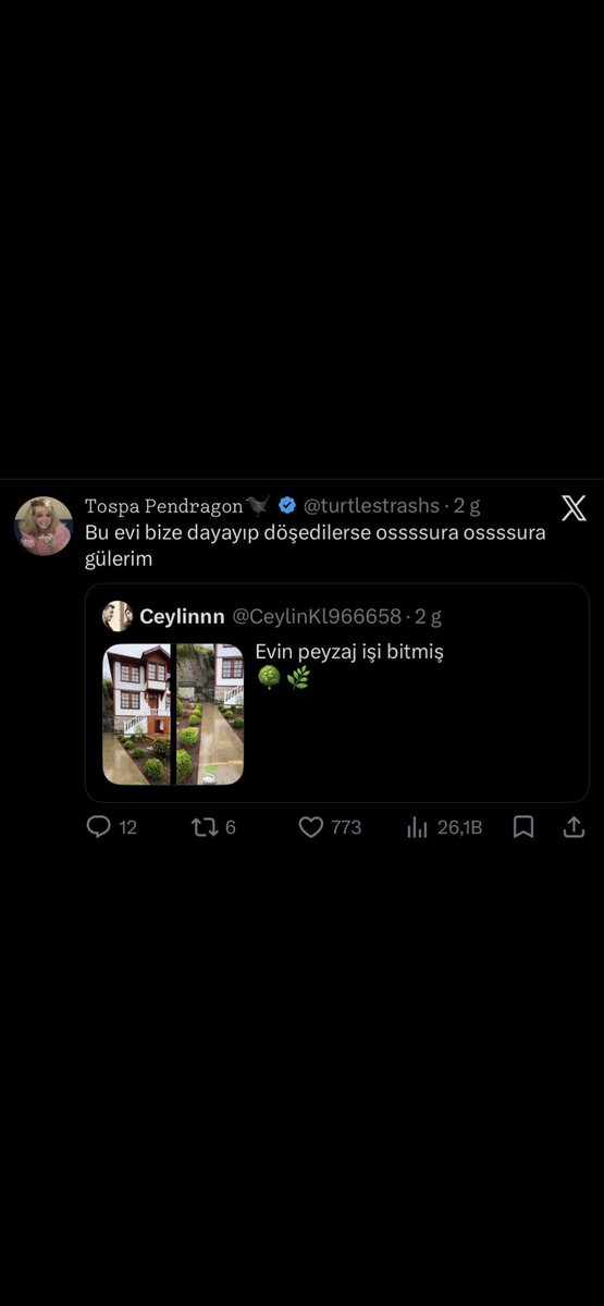 eviuzakkelebek tweet media