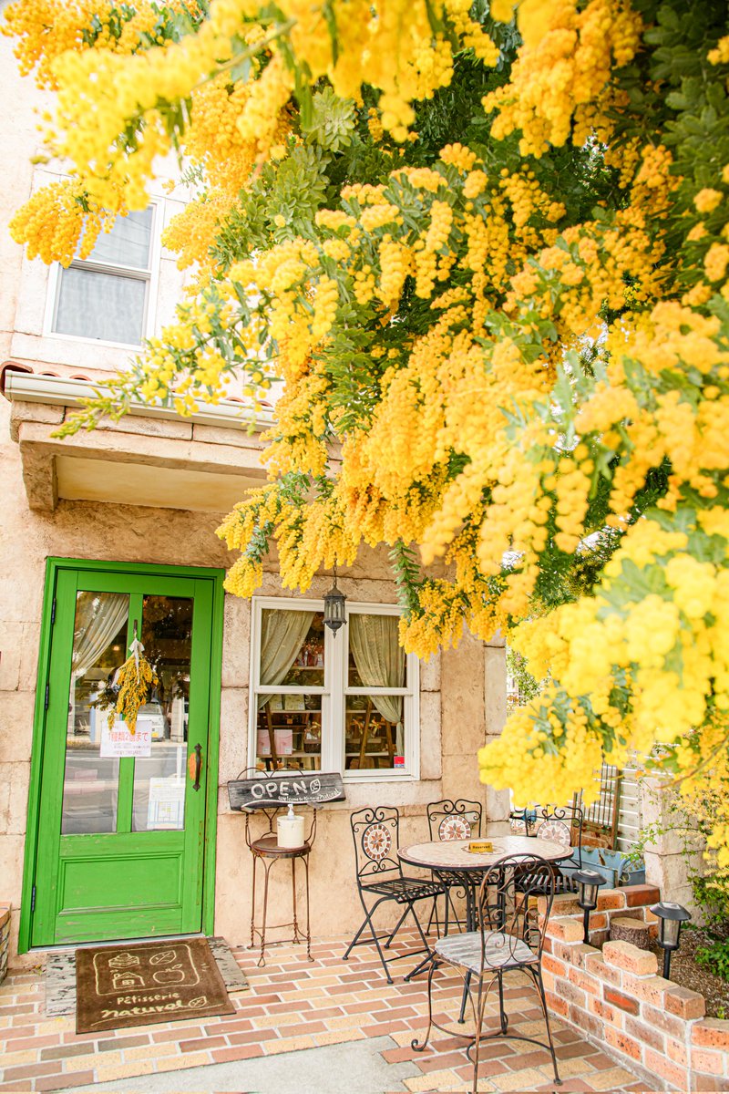 ハスカップ07 tweet media