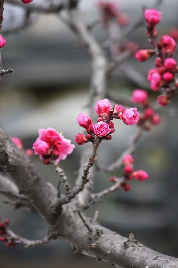 윤 종 필💙 tweet media