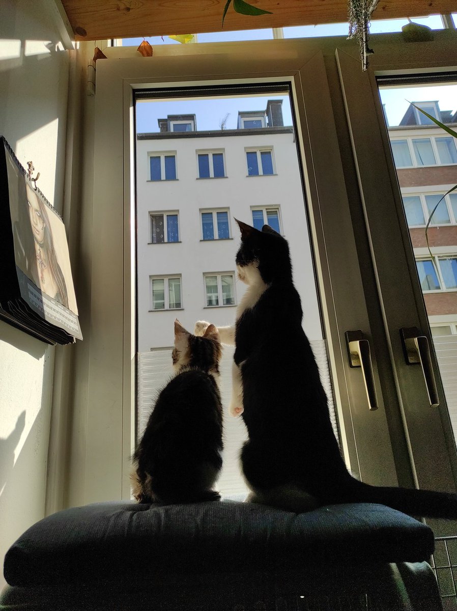 Rockkitties tweet media