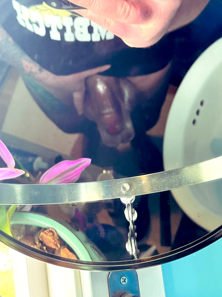 Slutty Size Acolyte tweet media