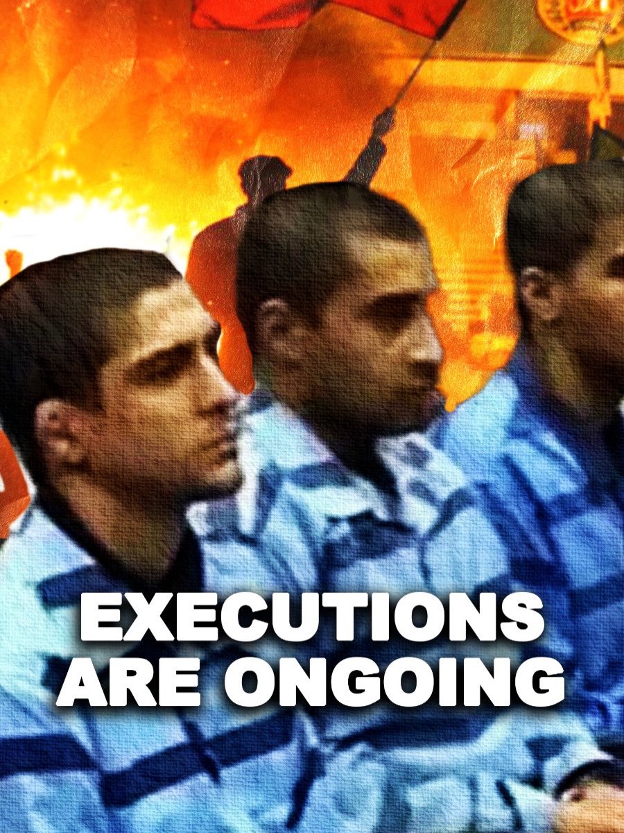 MEP Sebastian Tynkkynen tweet media