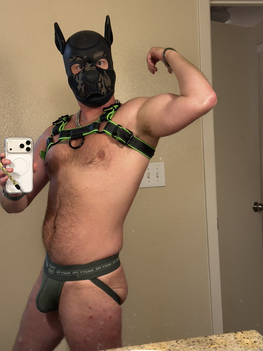 LuckyLucaTX's tweet photo. Pup content for the boys. Everyone else can piss off 🟨🟨🟨😜 https://t.co/gGfOLnGAWX