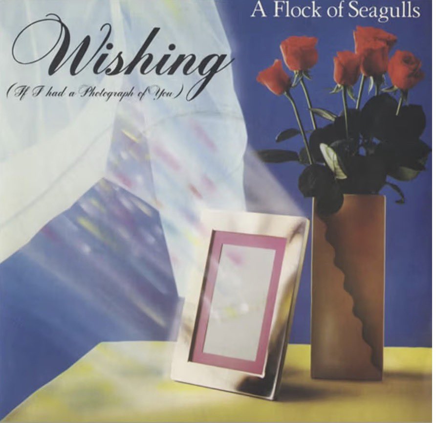 zij van de Blij tweet media